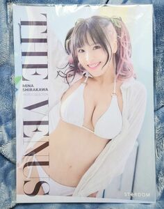 【新品未開封】白川未奈 写真集「THE VENUS」STARDOM女子プロレス E neXusスターダム