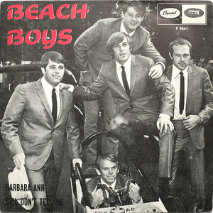 7 BEACH BOYS[BARBARA ANN]スウェーデンORG! ビーチボーイズ