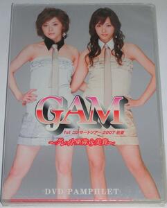 GAM 1st Concert Tour 2007 初夏 DVD PAMPHLET 松浦亜弥 藤本美貴