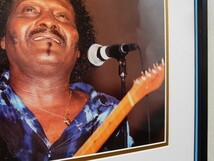 アルバート・コリンズ/アート ピクチャ 額装/Albert Collins/Texas Blues/Telecaster Custom/guitar/display/テキサス ギター/インテリア_画像1