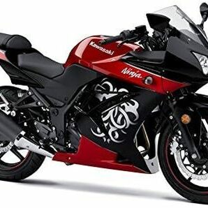 NINJA250R 400R 08-12年 左右セット ニンジャ 08-12年 社外品の画像3