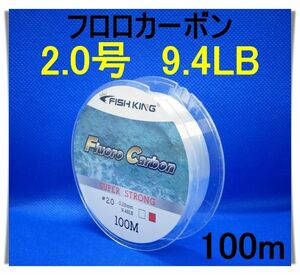 フロロカーボン　2.0号　(9.4LB) 100m 釣り糸　ライン リーダー