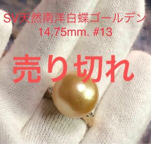 SV天然南洋白蝶ゴールデン真珠　超大珠丸系リング　14.75mm. #13