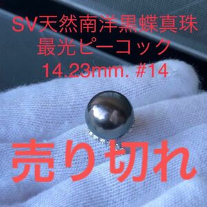 SV天然南洋黒蝶真珠　最光ピーコック　14.23mm #14