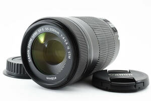 ★極上品★キヤノン Canon EF-S 55-250mm F4-5.6 IS STM L700#2563