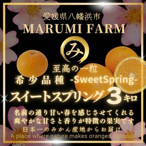 ☆春の訪れ☆Marumiのスイートスプリング☆