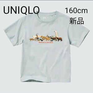 ユニクロ 国立科学博物館 UT（半袖）グラフィックTシャツ 新品新品160cm S M ライトグリーン アニマル 動物
