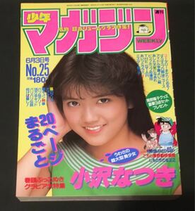 激レア　美品　週刊少年マガジン 小沢なつき　南野陽子 ミスター味っ子 コータローまかりとおる！　昭和アイドル　昭和レトロ