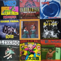 ♪ パンク ハードコア メロコア スカコア まとめて LP 9枚セット WIZO, LINK 80, TILT, VOODOO GLOW SKULLS, PEACOCKS FAT WRECK ロンナイ_画像1