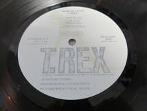 【LP】SP20-5061　GREAT HITS　T.REX　グレイト・ヒッツ　T.レックス　テレグラム・サム/ジルバの恋/レディ/メタル・グゥルー_画像6