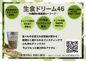 【送料無料】生食ドリーム　お試し10包