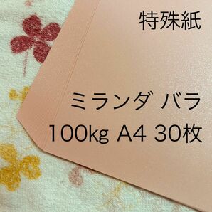 特殊紙　ミランダ　バラ　100キロ　A4　30枚