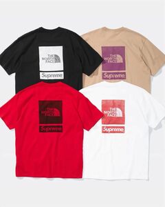 Supreme The North Face S/S Top
