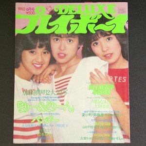 【ピンナップ付き】DELUXE プレイボーイ デラックス 集英社 1982年 昭和57年6月1日発行 6月号 川上麻衣子 小島ゆき 川島なお美