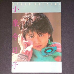 小泉今日子 写真集 PHOTOGRAPHY デラックス近代映画 1984年 昭和59年4月1日発行 KYOKO KOIZUMI