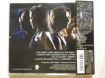 『The Corrs/White Light(2015)』(2015年発売,WPCR-17048,国内盤帯付,歌詞対訳付,Bring On The Night,I Do What I Like,アイリッシュ)_画像2