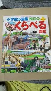 Книга картинной книги Shogakukan Нео Юко Като Юко Като Юко Оно выставка