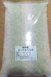 国内産もっちもち大麦 5kg 送料無料