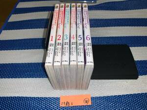 29歳独身は異世界で自由に生きた……かった。 1～6巻 W
