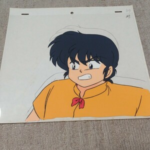 Ранма 1/2 картина клеток Saotome Ranma