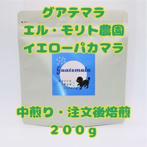 グアテマラ エル・モリト農園 イエローパカマラ 200g 中煎り 注文後焙煎