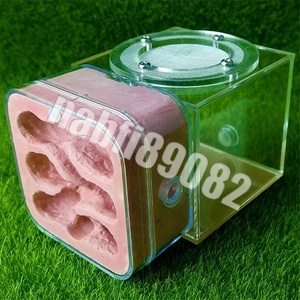  maru profit * Mini stone . have. nest acrylic fiber have farm child. Diy intellectual training toy pet. . insect cage child. birthday present 