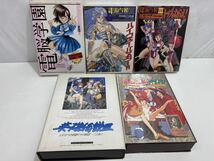 ⑤ PC-9801 9800 10個 5”2HD VM以降 ブランディッシュ ぽっぷるメイル 電脳学園 トップをねらえ！ ダイナソア 英雄伝説 現状品_画像4