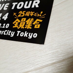 DVD LINDBERG LIVE TOUR 2014 25周年だョ！全員集合 2014.08.10 Zepp Divercity Tokyo◆リンドバーグの画像7