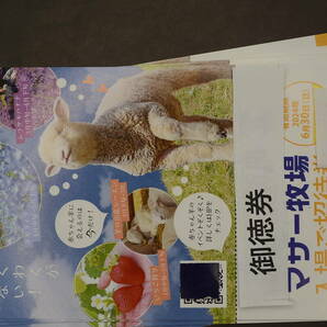 マザー牧場 入園招待券 １枚350円 10枚セット3500円 期限２０２４年6月３0日まで 送料無料の画像3