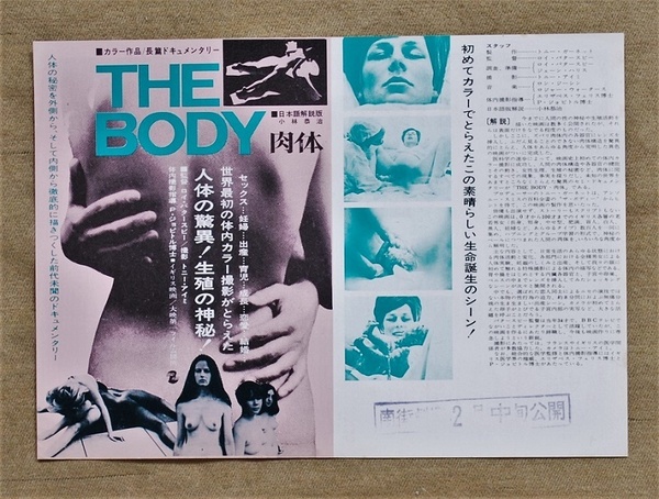 THE BODY 肉体/B5判映画チラシ/南街劇場/1971年当時物