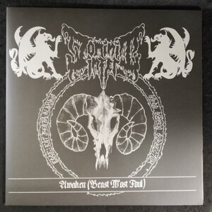 D03　中古LP 中古レコード　DOMONI INFERI / WARHATE awaken US盤 ANTI-GOTH 026 ポスター、帯のようなもの付き ブラックメタル デスメタル