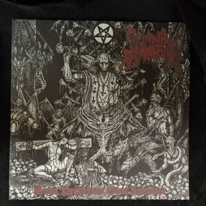 D03 中古LP 中古レコード　NIHIL DOMINATION sado perverser goat insulter 国内盤　DA13-040 ANTI-GOTH 212 エクアドル　ブラックメタル