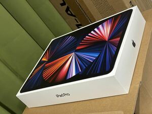 iPad Pro 12.9インチ 第5世代　2TB