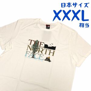 【海外限定】ノースフェイス　半袖Tシャツ　日本4L相当　A270
