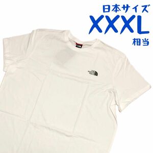 【海外限定】ノースフェイス　半袖Tシャツ　シンプルドーム　日本4L相当　A231