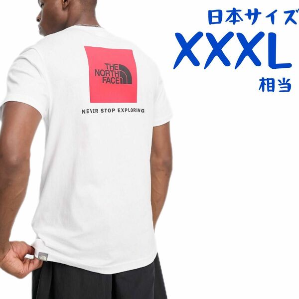 【海外限定】ノースフェイス　半袖Tシャツ　日本4L相当　A202 ボックスロゴ