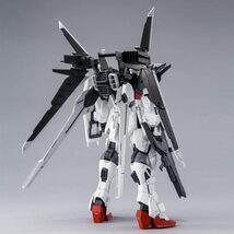 ガンダム MG 1/100 ガンダム エクスインパルス プレミアム・バンダイ 新品 未開封_画像5