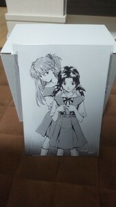 [ free shipping ]eva Neon Genesis Evangelion lot discount . online lot lot photograph of a star Aska hikari 