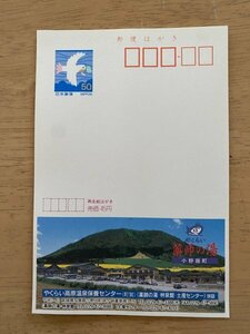 額面50円はがき　エコーはがき　未使用はがき　広告はがき　やくらい　小野田町　薬師の湯　宮城県　曲がり　うねり