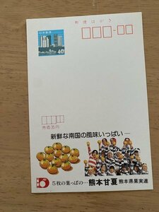 額面40円はがき　エコーはがき　未使用はがき　広告はがき　熊本甘夏　熊本県果実連　