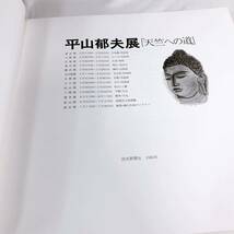 E4-T3/13 平山郁夫展「天竺への道」　図録 読売新聞社　1983_画像6