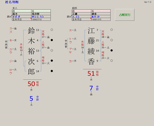 東洋占術シリーズ16 姓名判断ソフト