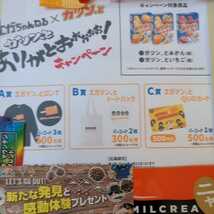 懸賞応募■クローズド＊２０種＊マルちゃん・伊藤ハム・あづま食品・プリマハム・ペプシ・ウマ娘・パスコ・丸美屋・伊藤園・赤城乳業_画像5