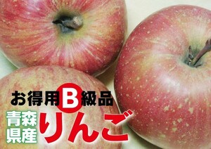 否バラ詰め わけあり【B級品・サンふじ・20kg（20キロ）用 木箱 サイズ ダンボール 詰】青森県産