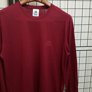 SALOMON Brand Ikon Printed LS Jersey Tee