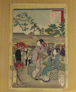 【真作】「開明東京名勝　染井の菊看」 国明、広重画　大倉孫兵衛板　明治１４年　1枚｜和本 古典籍　本物浮世絵　木版画