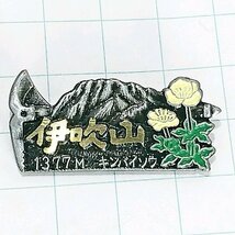 送料無料)伊吹山 山登り 旅行 記念 山バッジ ピンバッジ PINS ピンズ A23567_画像1