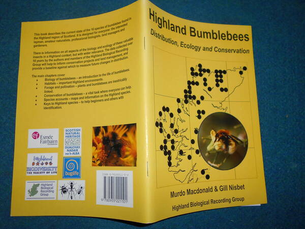 即決　イギリス『ハイランド地方のマルハナバチ　Highland Bumblebees』昆虫学、Incectハチ目膜翅目、生態Social bees ミツバチ　ハナバチ