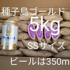 種子島ゴールド(紫芋) SSサイズ 5kg