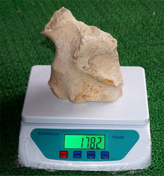 白芸石 山サンゴ 海水魚 シクリッド グッピー ミネラル ライブロック 飾り石 石 水槽